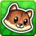 Flying Squirrel